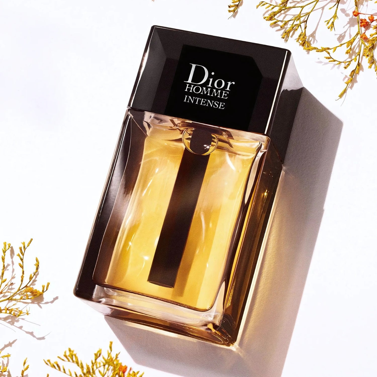 Dior Homme Intense – Dior