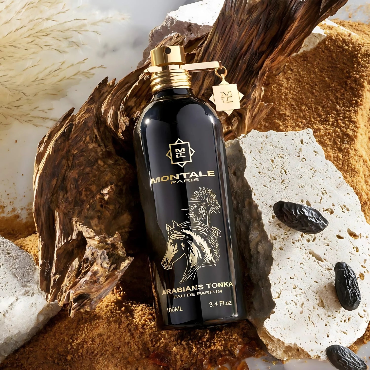 Arabians Tonka – Montale
