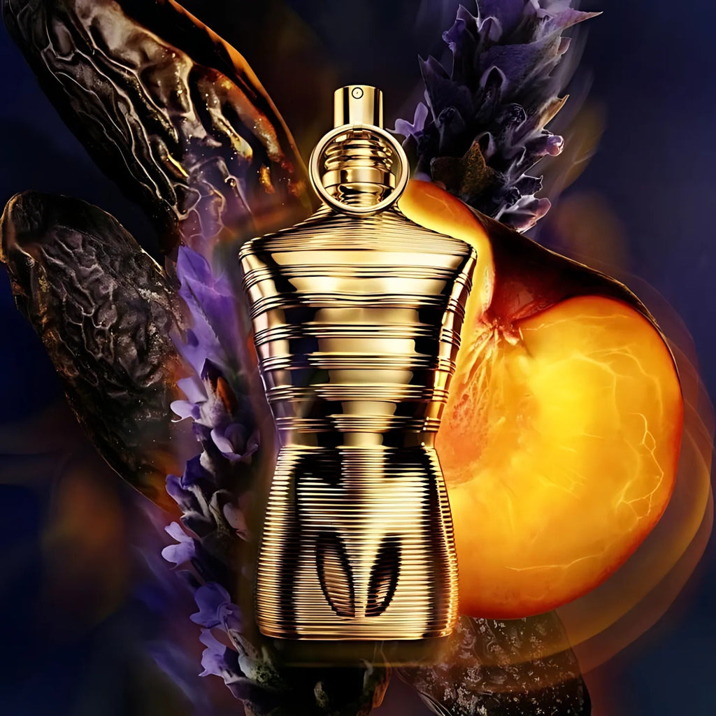 le male elixir absolu