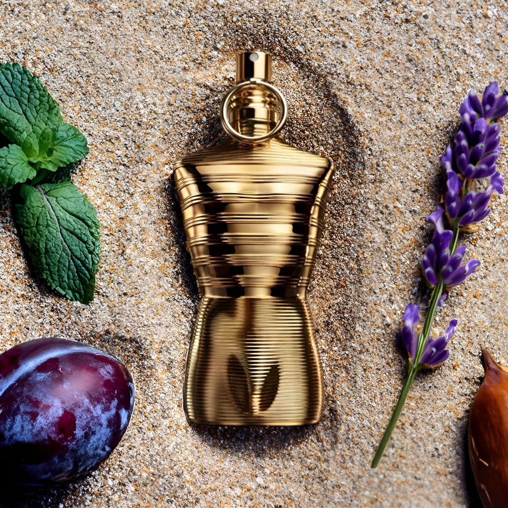 le male elixir absolu
