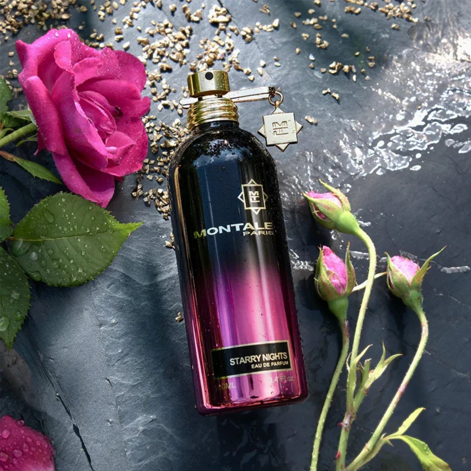Starry Night – Montale
